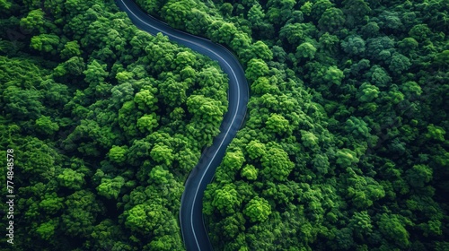 top view of winding road and beautiful forest view