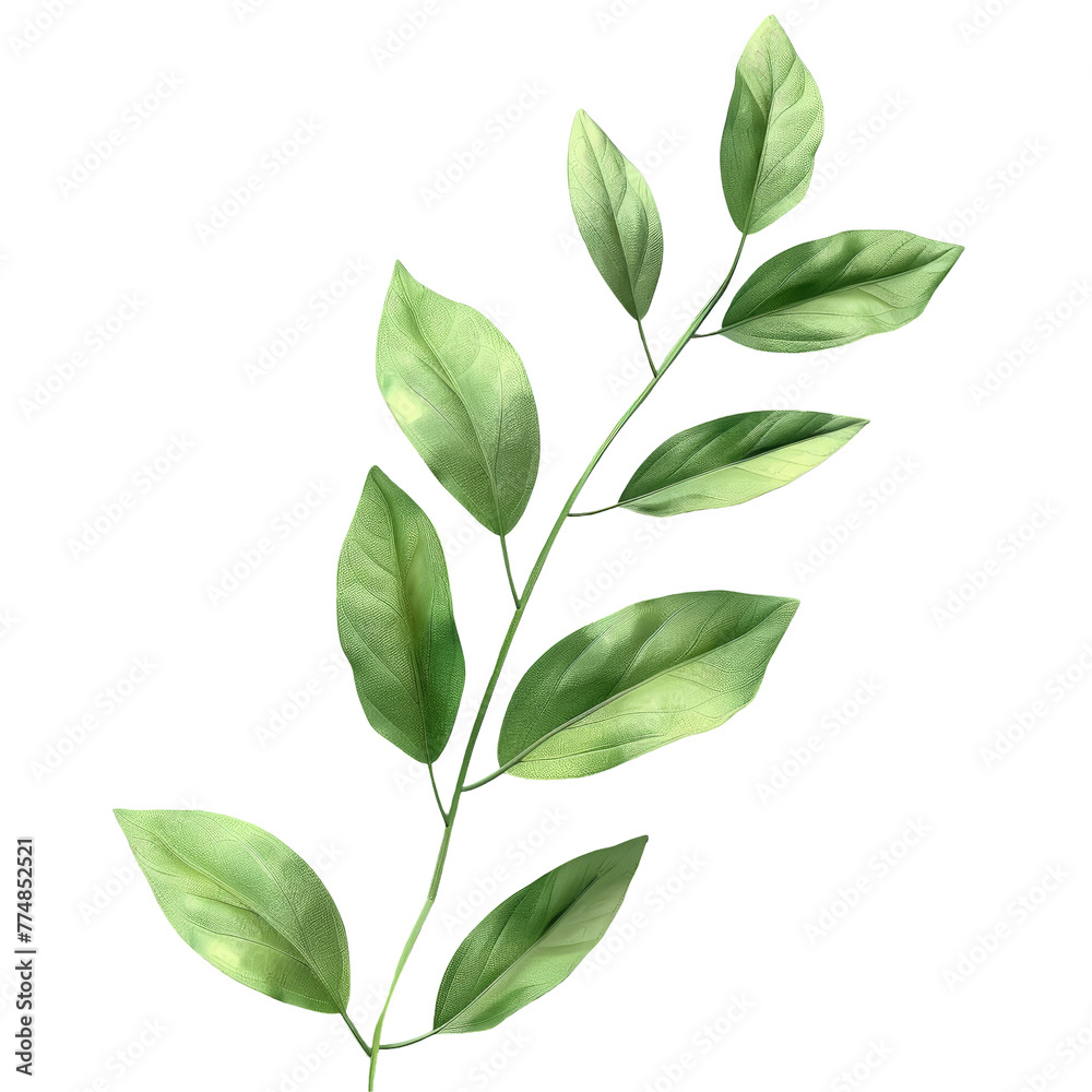 A green plant with leaves on a Transparent Background