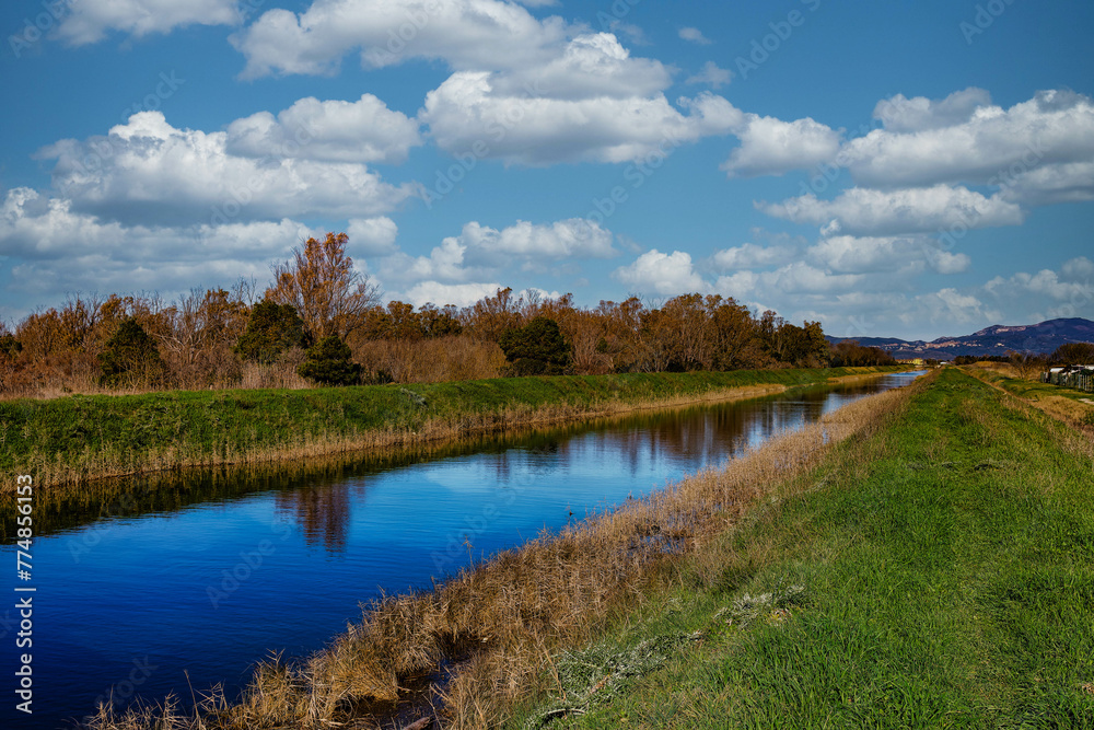 Landscape taken from an irrigation canal of the coastal park of Sterpaia on the gulf of Follonica Tuscany Italy Landscape taken from an irrigation canal of the coastal park of Sterpaia on the gulf of Follonica Tuscany Italy