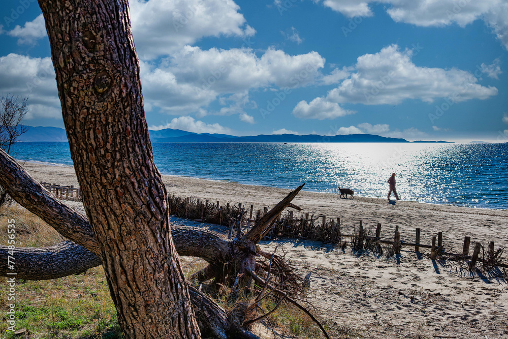 Seascape from the beach of the Sterpaia coastal park on the gulf of Follonica Tuscany Italy Seascape from the beach of the Sterpaia coastal park on the gulf of Follonica Tuscany Italy