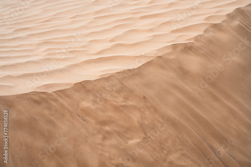 Fototapeta Naklejka Na Ścianę i Meble -  wind on sand dune of the Sahara - southern Tunisia