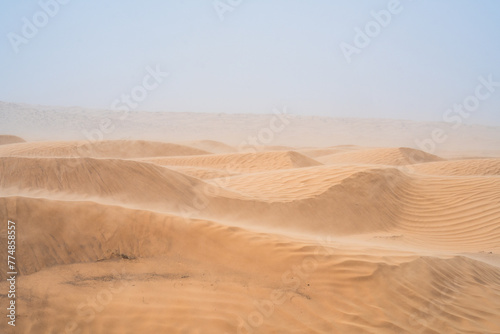 wind on sand dune of the Sahara - southern Tunisia photo