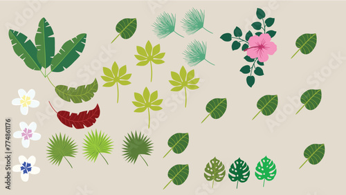 leaves