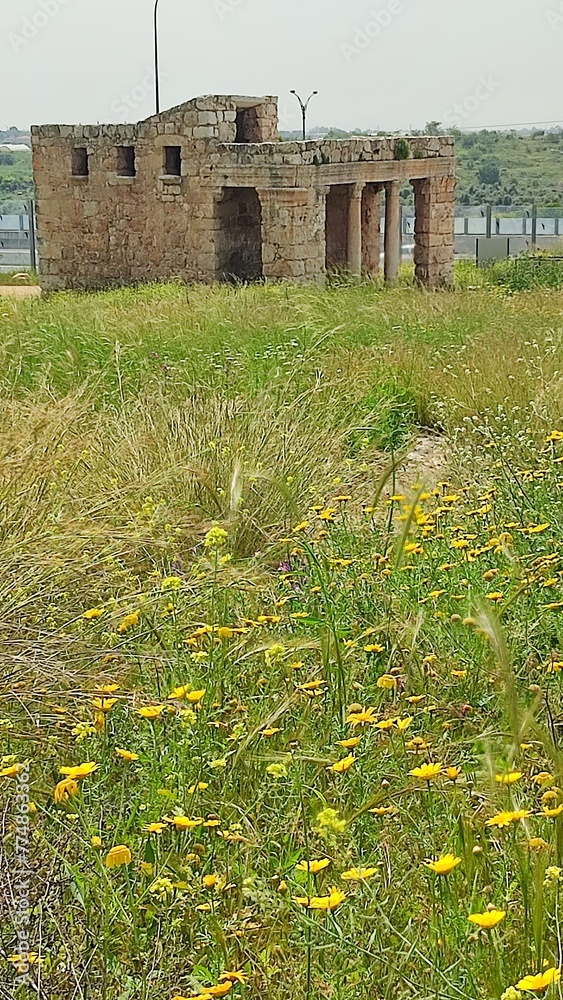 old house in the field