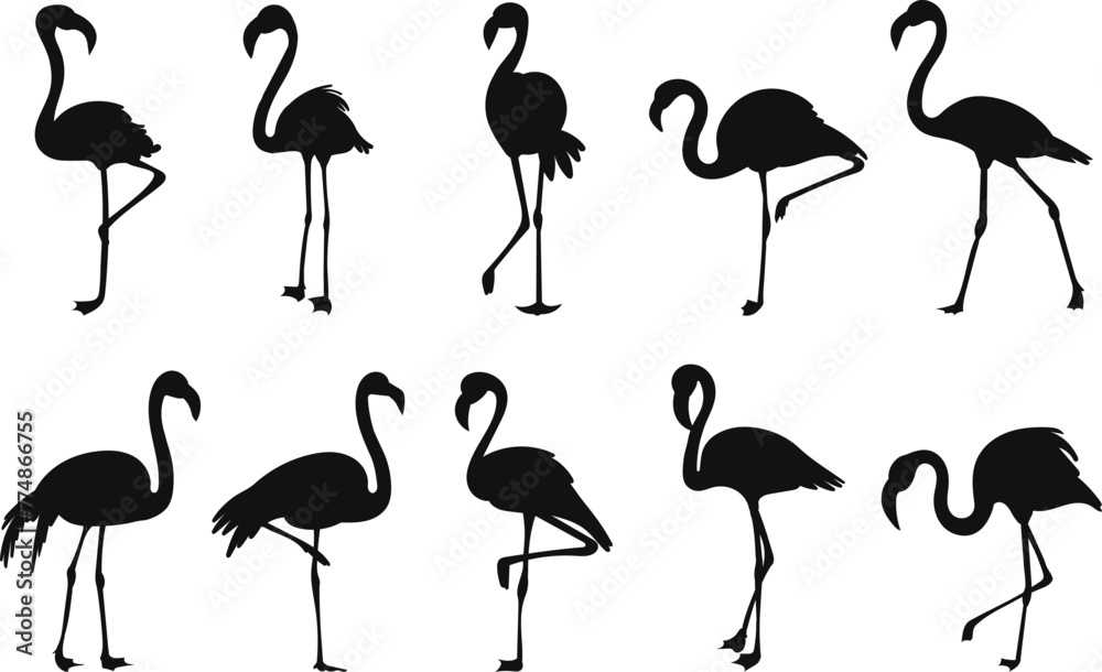 Fototapeta premium set of flamingo birds silhouette on white background vector