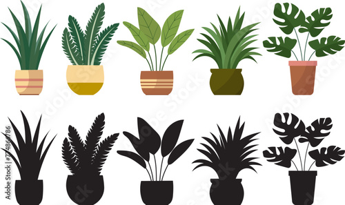 indoor plants in flowerpots set in flat style on white background vector