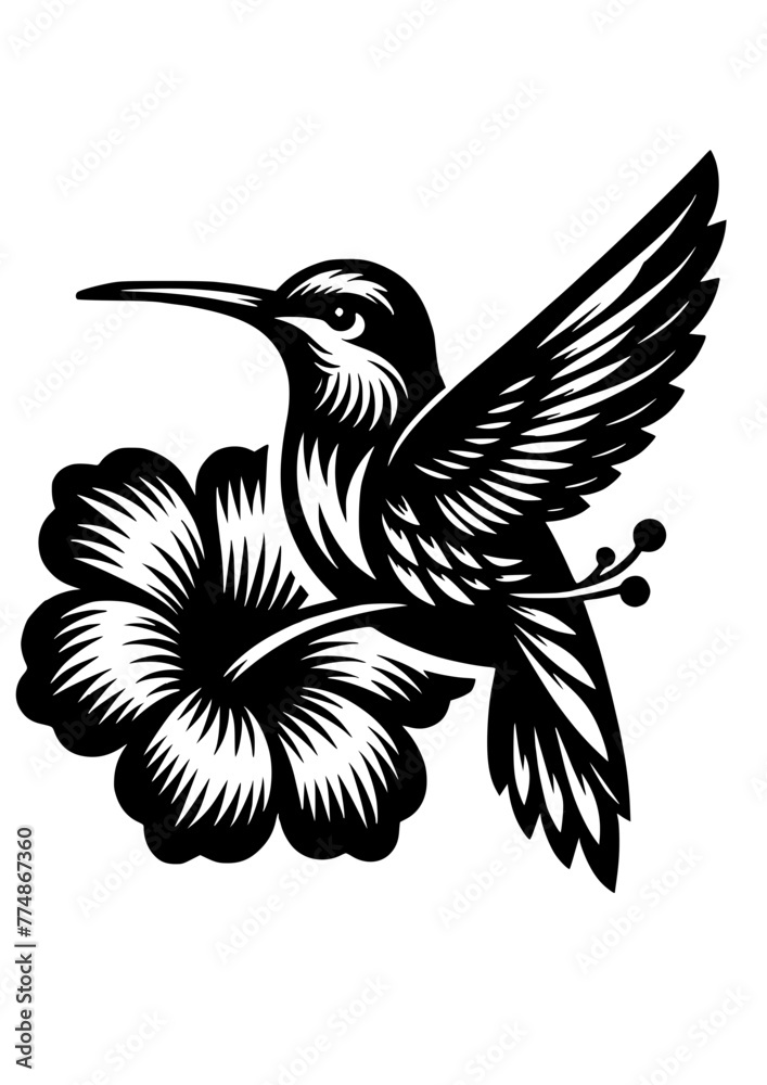 Hummingbird svg, bird svg, hummingbird flowers svg, flower hummingbird ...