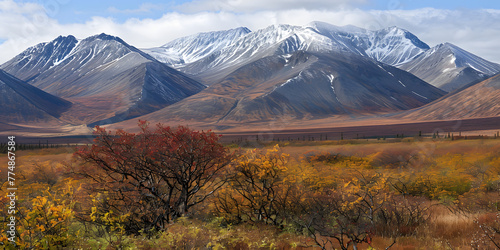 Paisagem com montanhas cobertas de neve