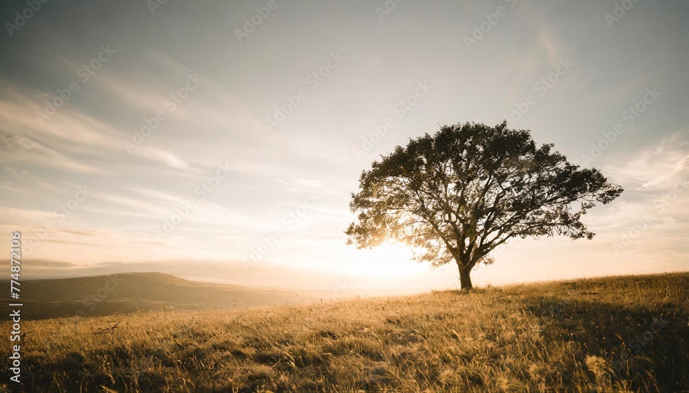 world environment day concept silhouette alone tree on beautiful meadow wallpaper background generative ai