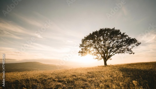 world environment day concept silhouette alone tree on beautiful meadow wallpaper background generative ai