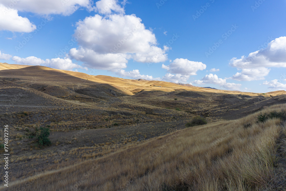 Savannah view. Dried orange grass. Mountains and bright blue sky with clouds. Desert region in Georgia.