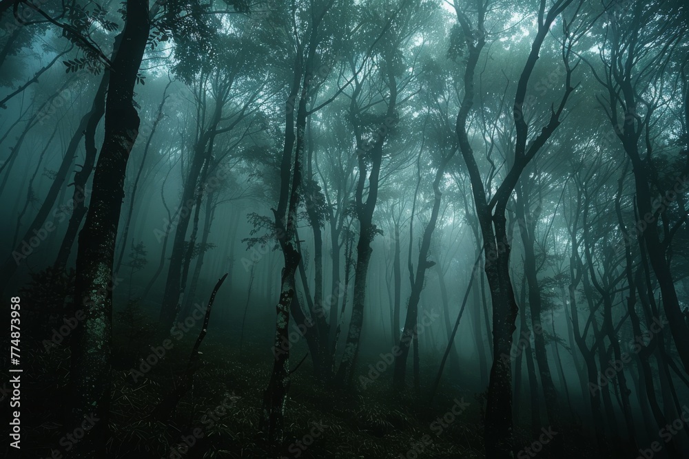 Fototapeta premium Mysterious Forest: A captivating forest scene shrouded in an atmospheric mist, where towering trees cast eerie shadows, inviting the viewer into a world of mystery and intrigue.
