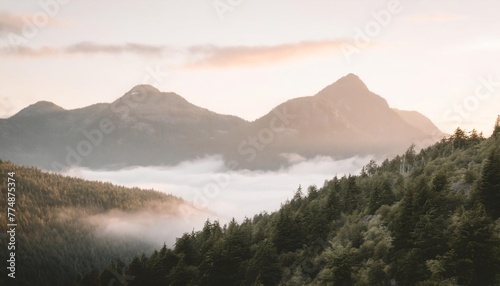 green mountain peaks embraced by enchanting forest fog