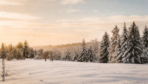 christmas card background vintage nostalgic a snowy landscape with trees and a snow covered field © Claudio