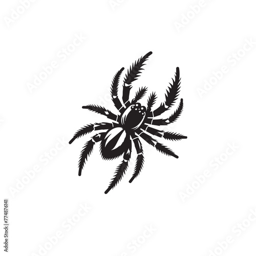jumping spider silhouette image,jumping spider silhouette  vector,jumping spider silhouette  svg ,jumping spider silhouette  png 