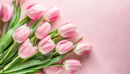Whispers of Spring: Pink Tulip Bouquet on Delicate Pastel Background