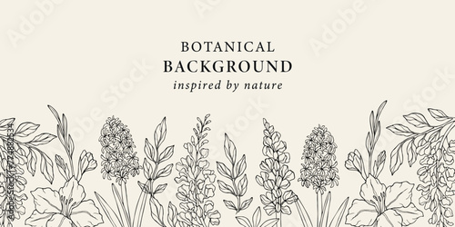 Photos Line art hyacinth, lupine, gladiolus, wisteria background