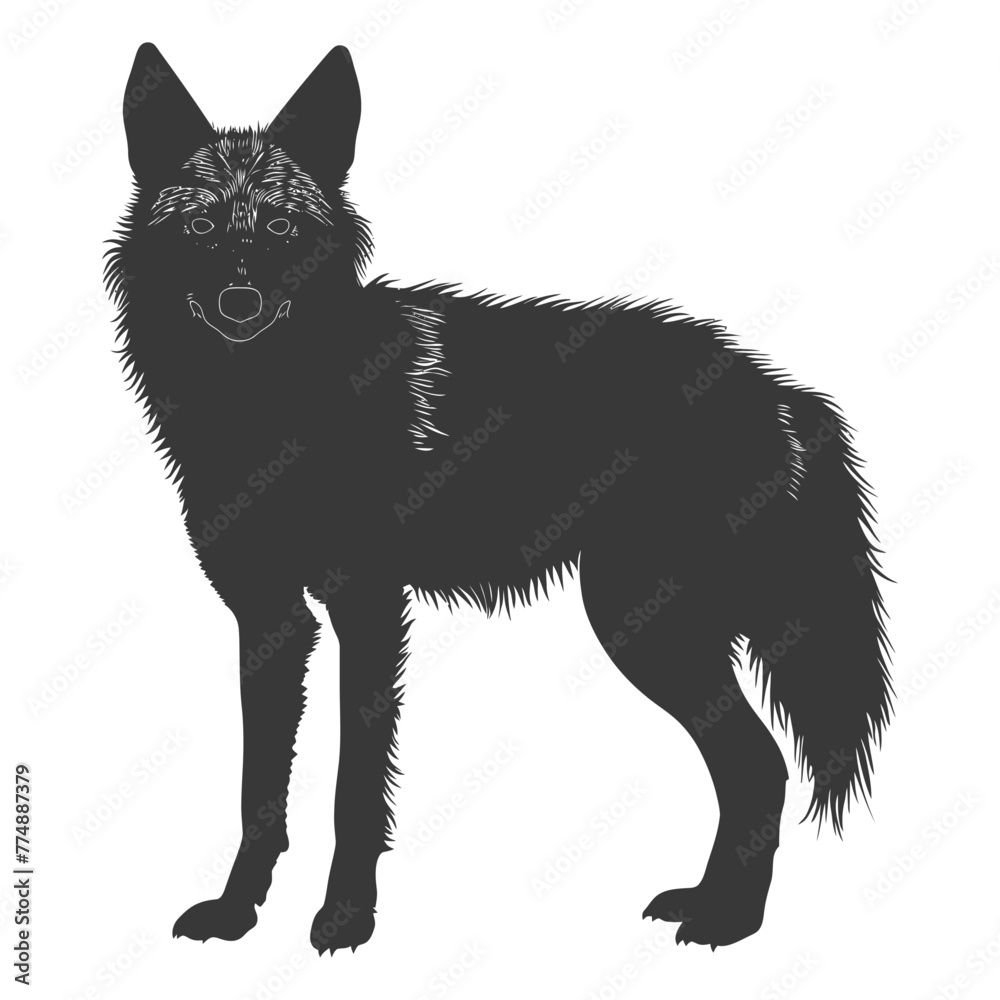 Silhouette coyote animal black color only full body Silhouette coyote animal black color only full body