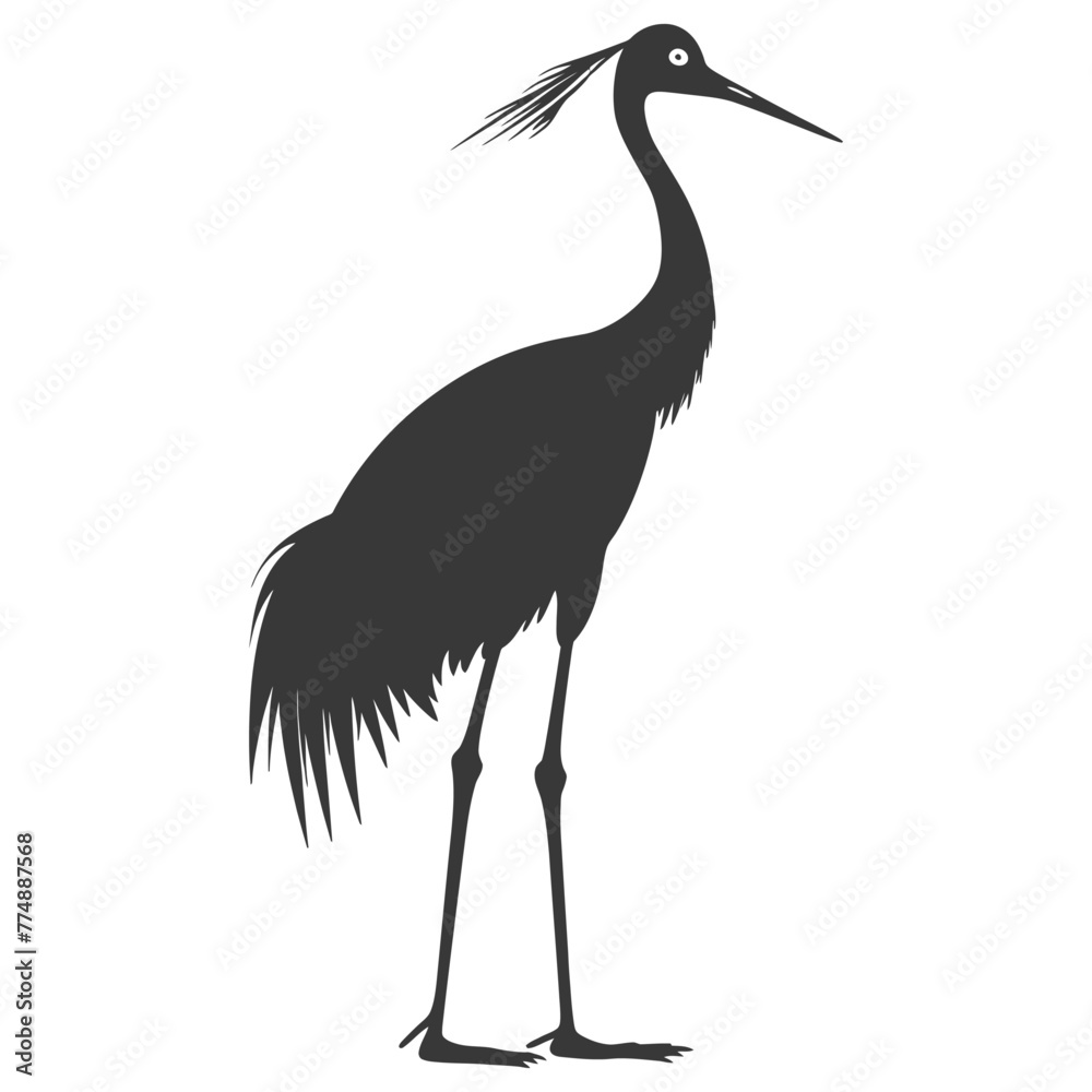 Silhouette crane bird animal black color only full body Silhouette crane bird animal black color only full body