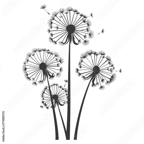 Silhouette Dandelions flower single black color only
