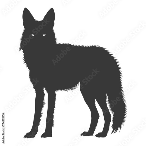 Silhouette coyote animal black color only full body