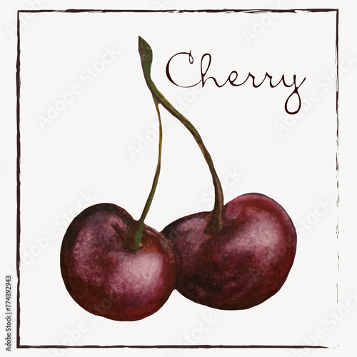 Cherry.Watercolor botanist illustration collection