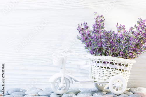 Decorative white bicycle on with a bunch of lavana in a basket on the background of a white wooden wall photo