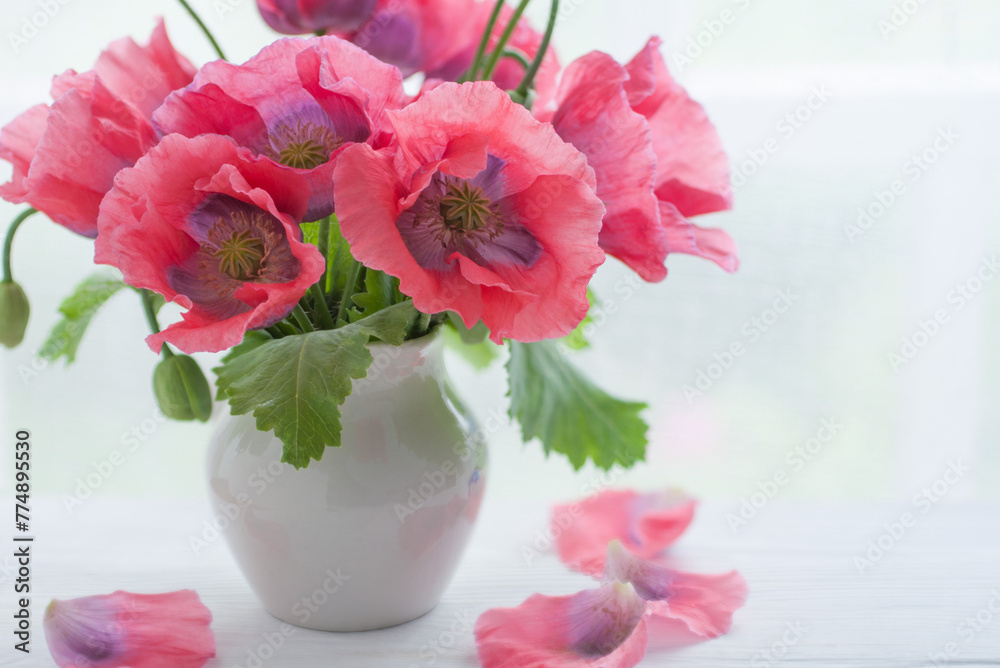 Blooming poppies in a white vase on a white wooden table near the window Blooming poppies in a white vase on a white wooden table near the window