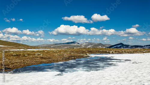  Summer landscape in the mountains, Norway, Jotunheimen