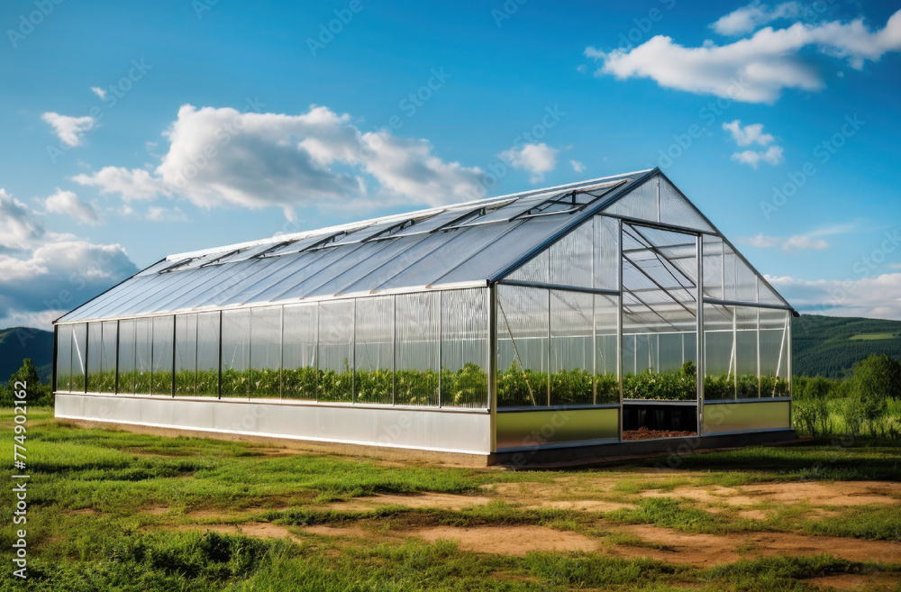 A greenhouse in a field of vegetables. Large greenhouse in an ecological place. Beautiful modern farm with a greenhouses, sunset. Glass large greenhouse for gardening. A greenhouse in a field of vegetables. Large greenhouse in an ecological place. Beautiful modern farm with a greenhouses, sunset. Glass large greenhouse for gardening.