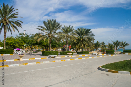 Palm trees in the park on a background of blue sky in Kish Island, Iran.