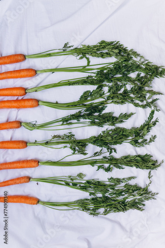 Carrots with greens in a raw on a white material