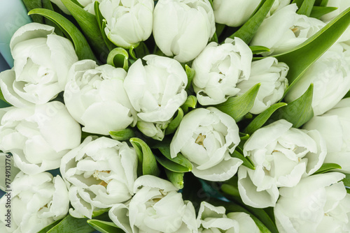 A bouquet of white tulips on a pastel green background. Blooming flowers, festive concept