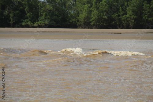 pororoca no rio flechal em amapá  photo