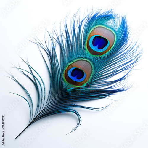 peacock feather on a white background сreated with Generative Ai
