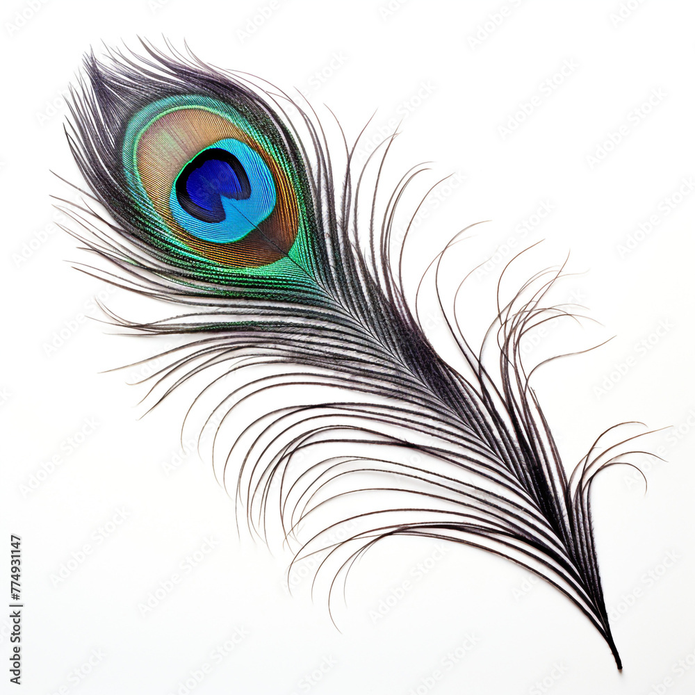 Fototapeta premium peacock feather on a white background сreated with Generative Ai