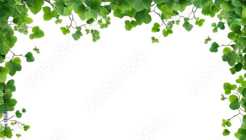 green leaves frame foreground isolated on transparent background cutout © Papugrat