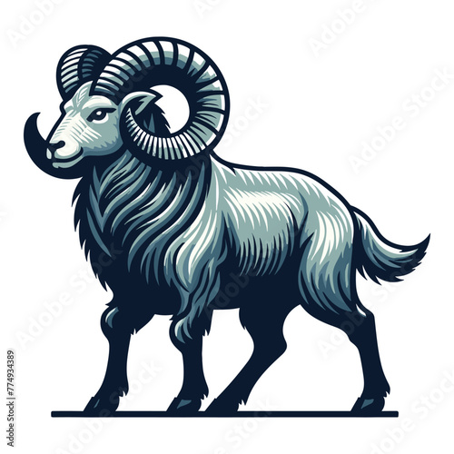 Bighorn horned ram sheep full body design illustration, animal livestock, farm pet, agriculture concept, butchery meat shop element, vector isolated on white background