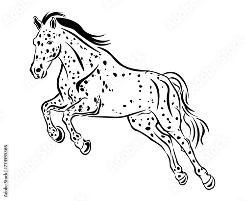 Knabstrupper horse Jumping: spotted horse jumping over an object, hand drawn vector design