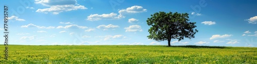 A lone tree in a field of grass with clouds and blue sky, AI