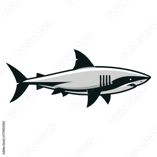 Wild great white shark design illustration, marine predator animal element illustration, swimming angry toothy shark vector template isolated on white background