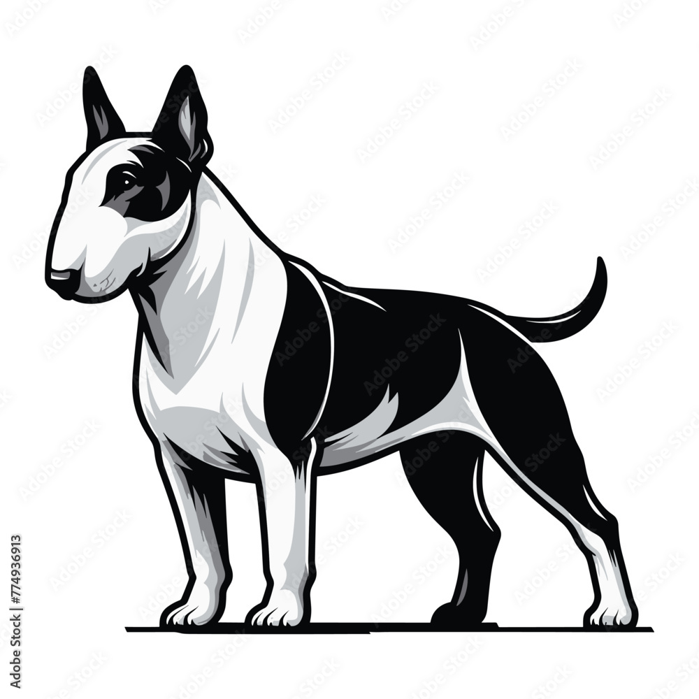 Bull terrier dog full body design illustration, standing purebred dog concept, cute adorable funny pet animal vector template isolated on white background