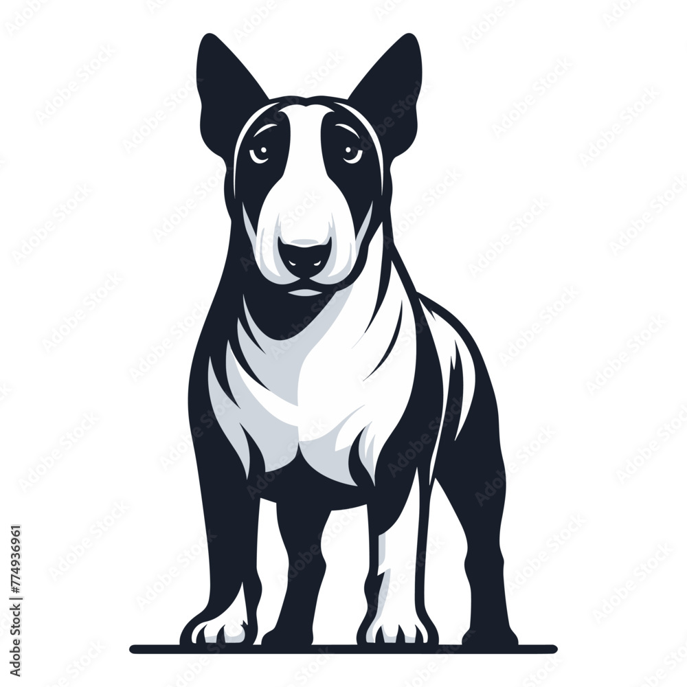 Bull terrier dog full body design illustration, standing purebred dog concept, cute adorable funny pet animal vector template isolated on white background Bull terrier dog full body design illustration, standing purebred dog concept, cute adorable funny pet animal vector template isolated on white background