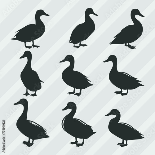 Duck vector silhouettes bundle, Set of various pose duck collection