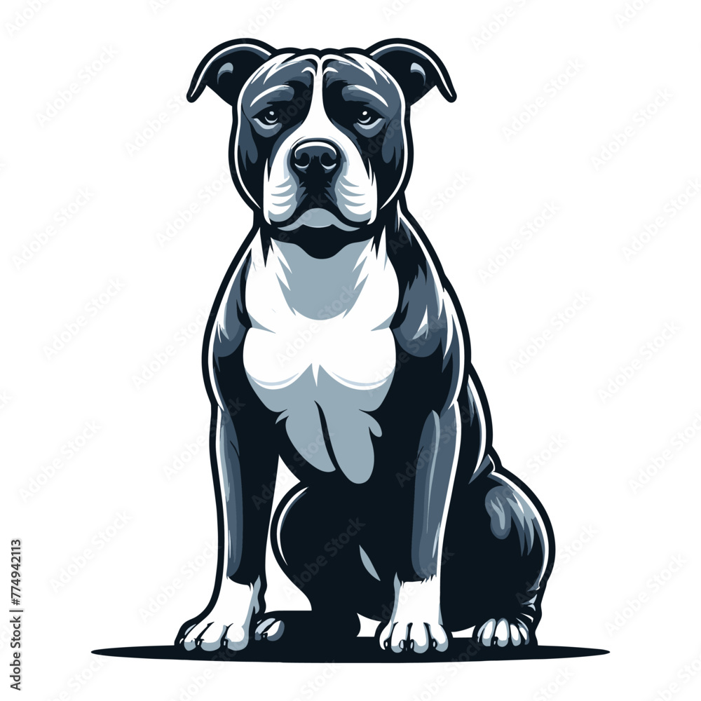 Pitbull bulldog full body design illustration, Full-length portrait of a sitting animal pet pitbull terrier dog. Vector template isolated on white background Pitbull bulldog full body design illustration, Full-length portrait of a sitting animal pet pitbull terrier dog. Vector template isolated on white background