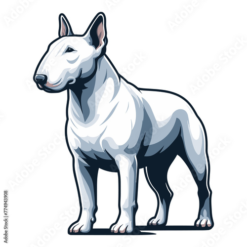 Bull terrier dog full body design illustration, standing purebred dog concept, cute adorable funny pet animal vector template isolated on white background