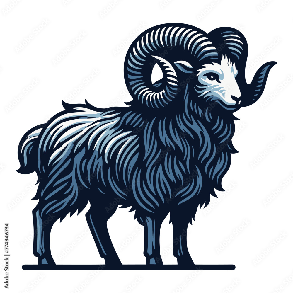 Fototapeta premium Bighorn horned ram sheep full body design illustration, animal livestock, farm pet, agriculture concept, butchery meat shop element, vector isolated on white background