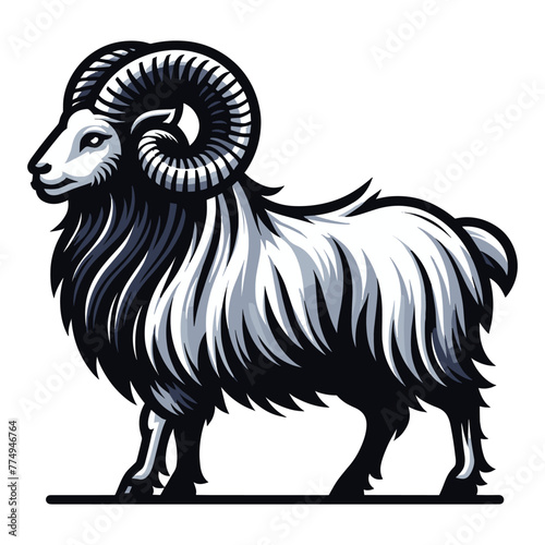 Horned ram bighorn sheep full body vector illustration, animal livestock, farm pet, agriculture concept, butchery meat shop element design isolated on white background