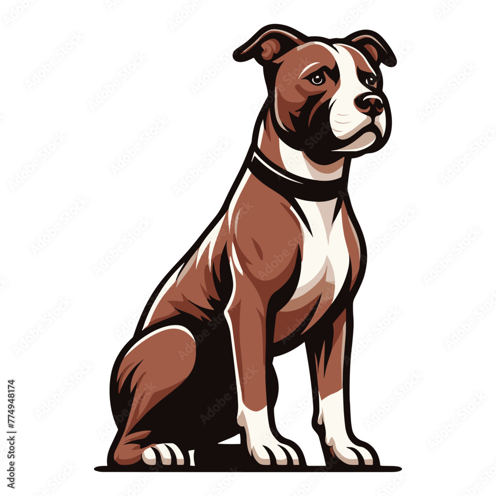 Pitbull bulldog full body design illustration, Full-length portrait of a sitting animal pet pitbull terrier dog. Vector template isolated on white background Pitbull bulldog full body design illustration, Full-length portrait of a sitting animal pet pitbull terrier dog. Vector template isolated on white background