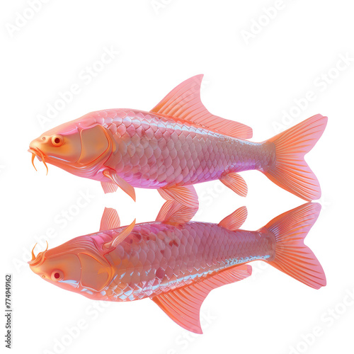 Two fish standing together underwater